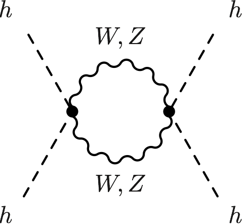 gauge-loop-for-HiggsCoupling